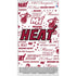 NBA Miami Heat Historic Blast Xbox Series S Console Skin